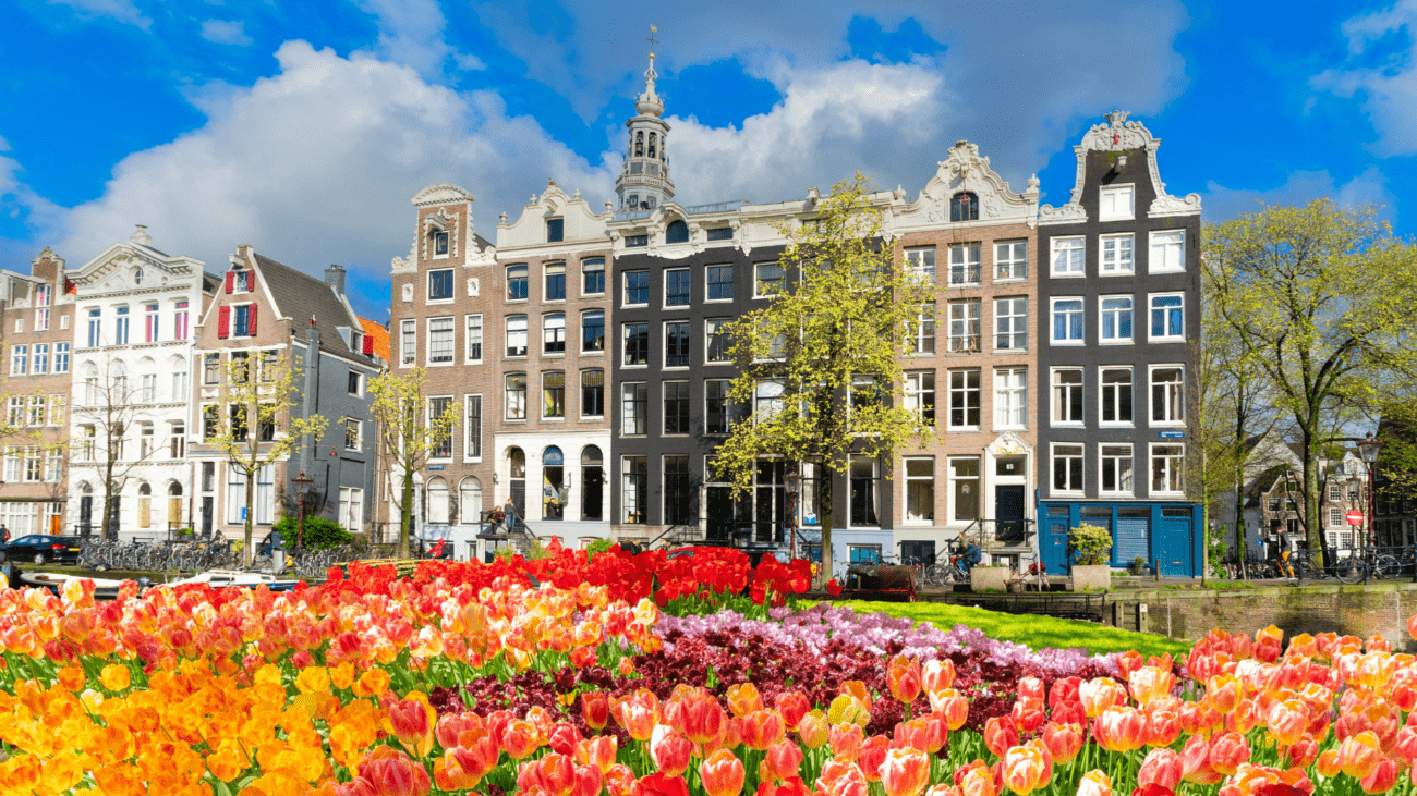 ტიტების ფესტივალი – სტამბოლი / Turkey – ინდ. ტური