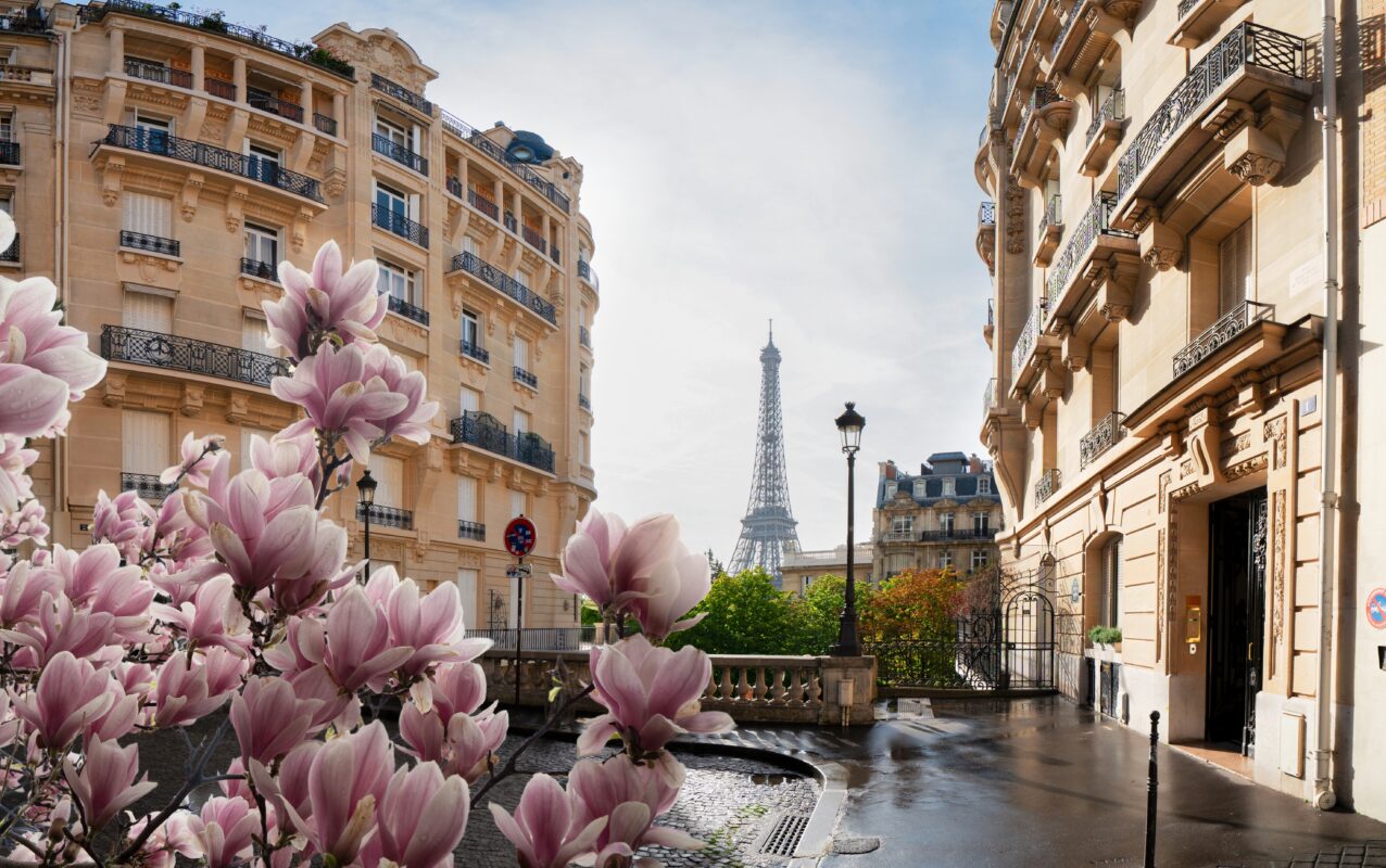 პარიზი, საფრანგეთი / Paris, France – ინდ. ტური
