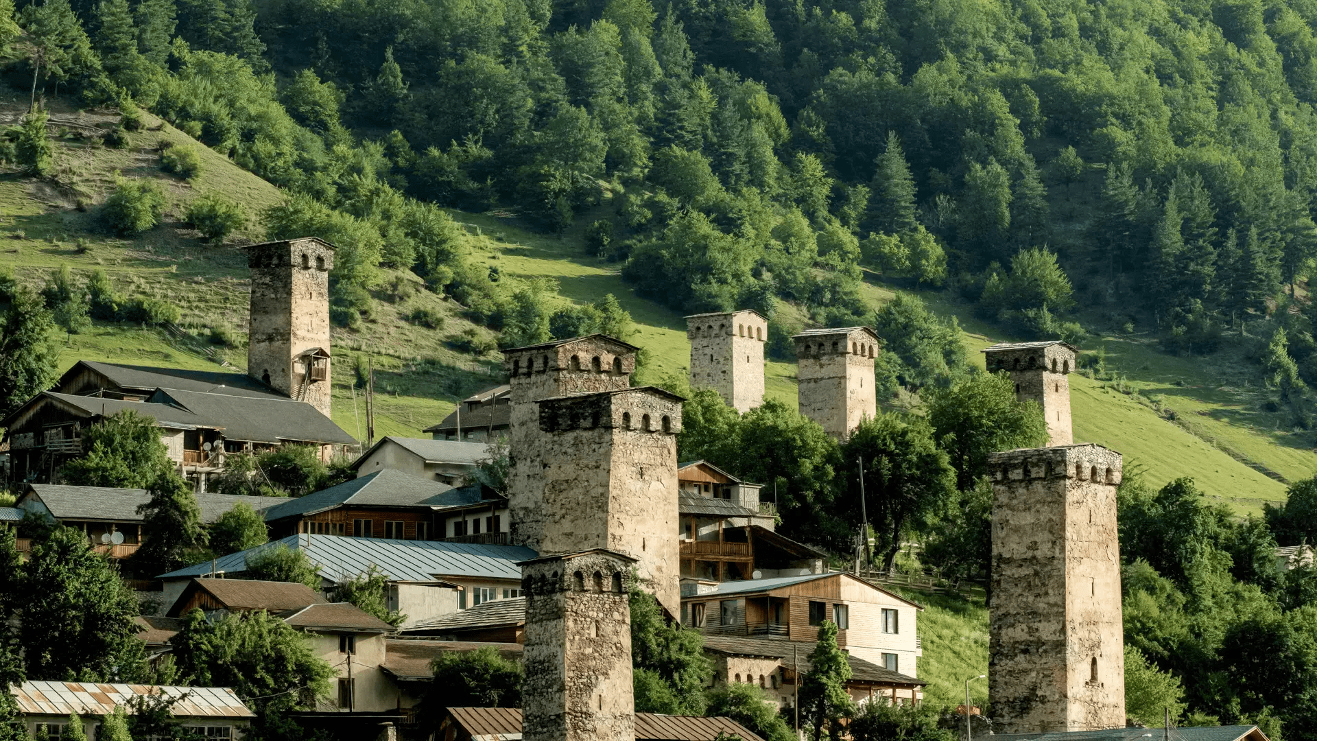 saaghdgomod-sagangebo-frenebi-dainishna